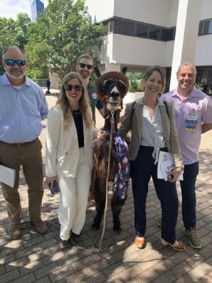 Five members at NCHBA Q2 2025 meeting posing for pic with llama wearing a hat.